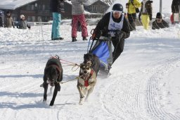 Lenk 2012 SM